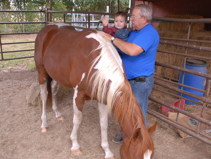 inspects horse with grandpa