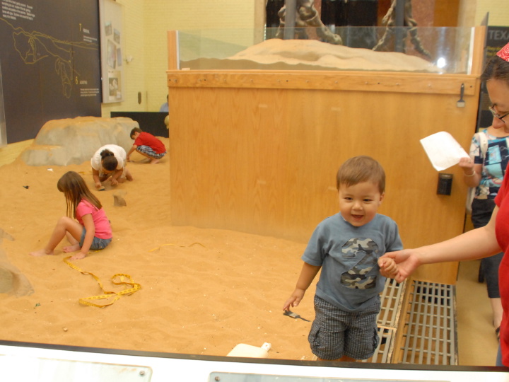 digging for dinosaurs at Dallas museum