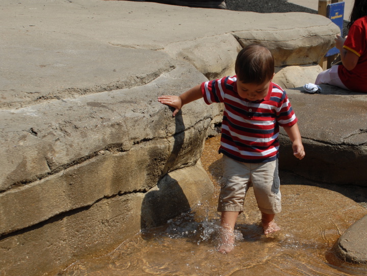 getting his feet wet at the Dallas Zoo