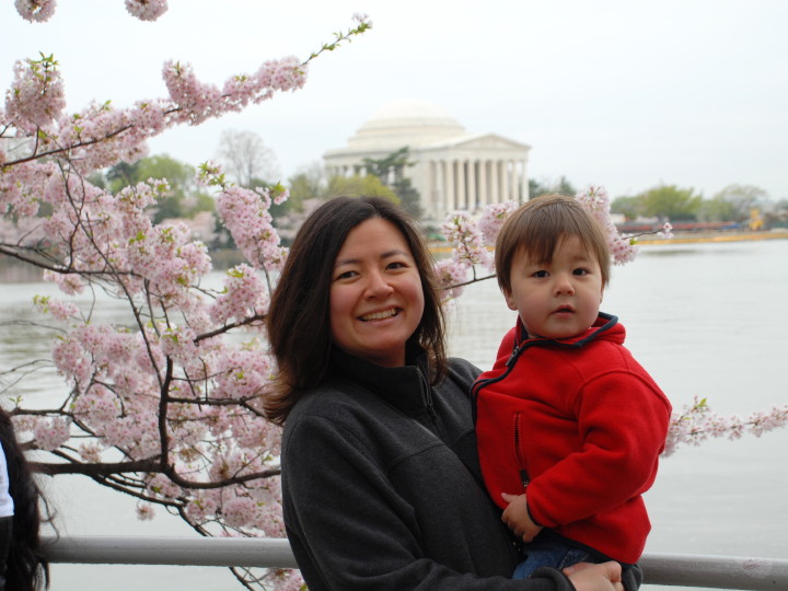 Jefferson memorial and blossoms