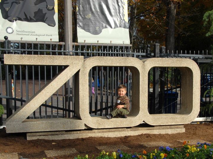 Zoo!