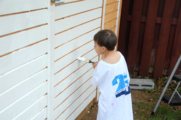 helps paint the shed