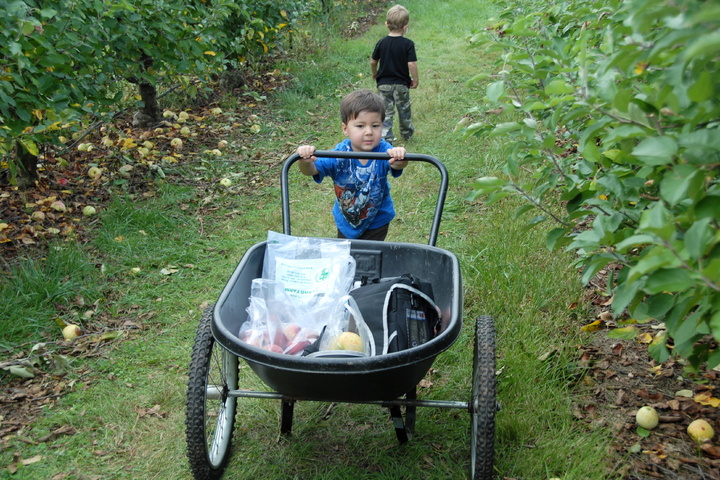 don't upset the apple cart!