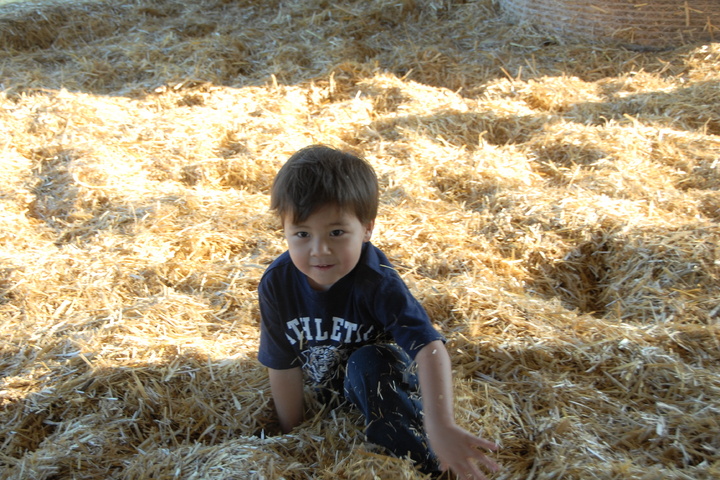 fun in the hay
