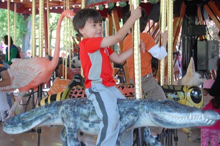 merry-go-round alligator