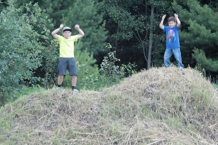 kings of the dirt hill