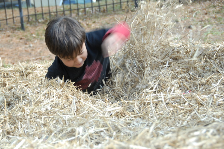 digging for treasure in the haystack