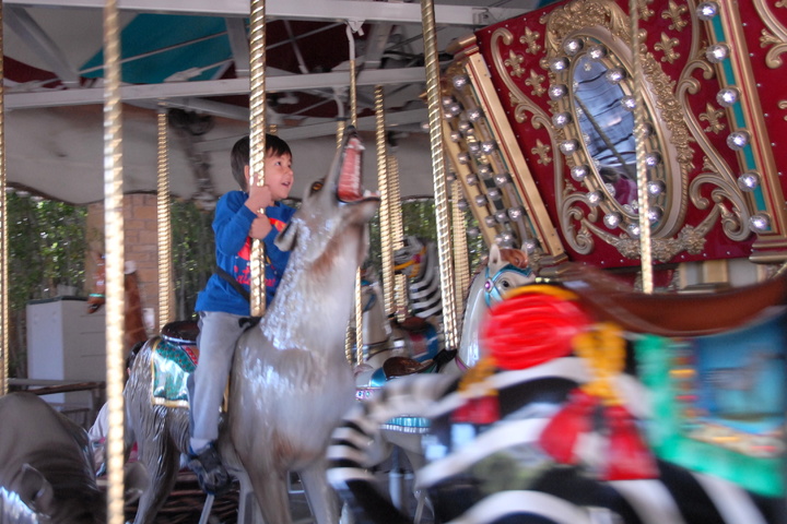 Dallas zoo carousel