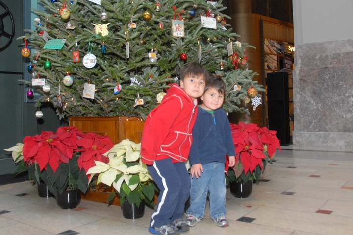 Postal Museum Christmas tree