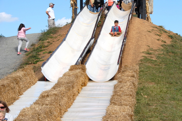 down the hill slide