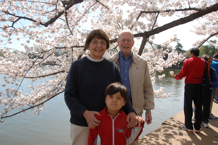 cherry blossoms with grandma and grandpa