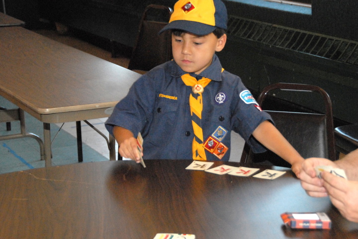 scouts and cards