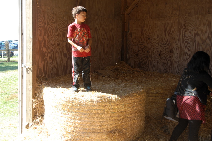surveying the hay barn