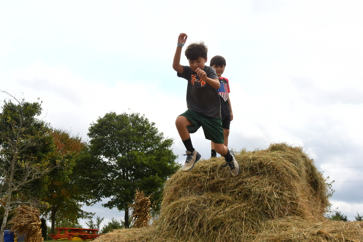 jumping from hay tower