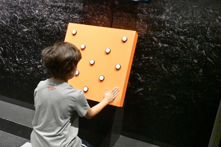 reaction game at Perot Museum