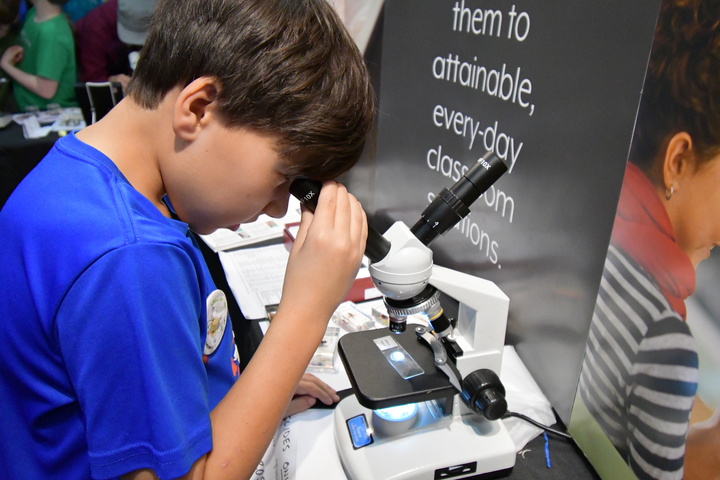 microscope examinations