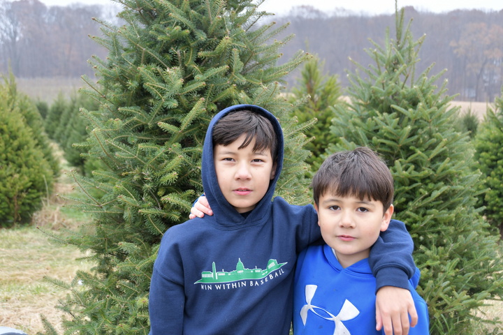 The boys and the tree