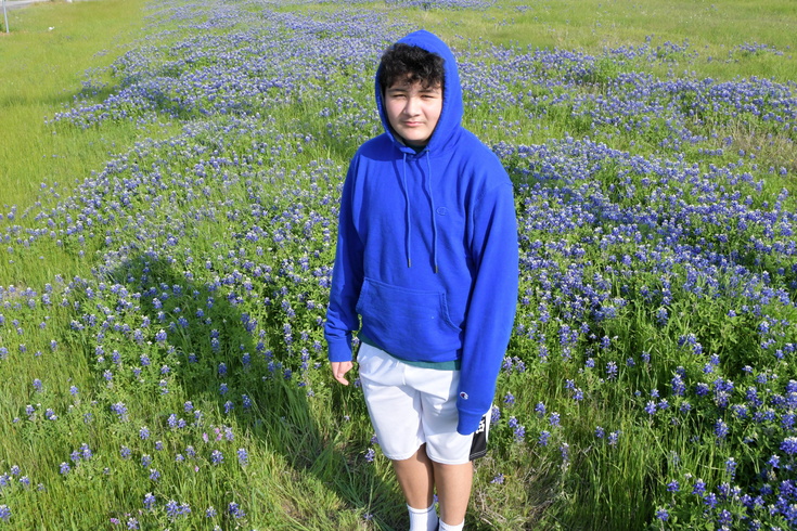 bluebonnets