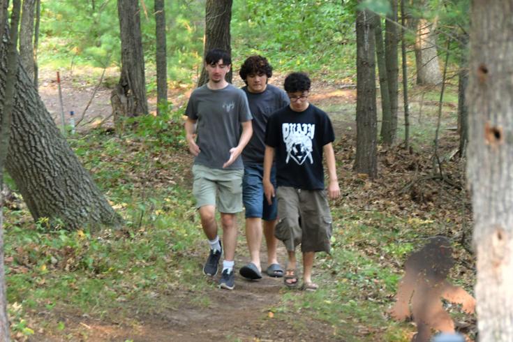 a walk in the woods